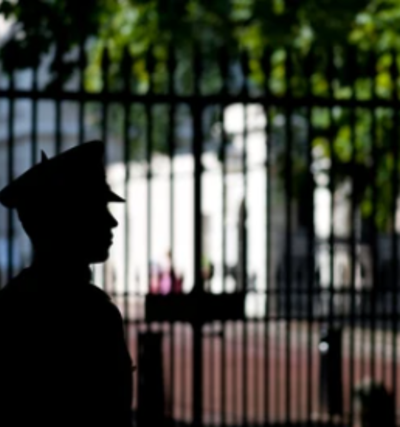 Event Security – A Smooth Nairobi Concert with 5,000 Guests